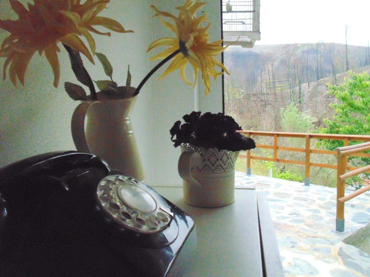 Casa Do Alto - Benfeita Bed & Breakfast Bagian luar foto