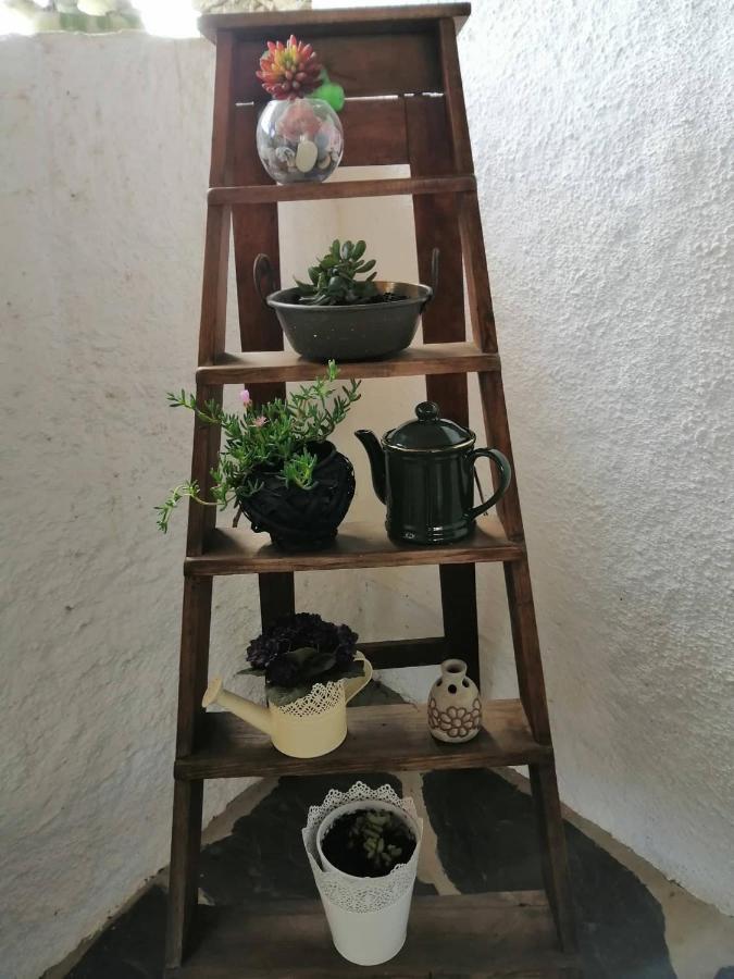 Casa Do Alto - Benfeita Bed & Breakfast Bagian luar foto